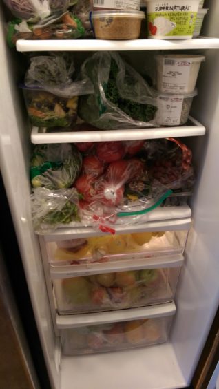 fridgeshot