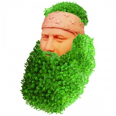 Willie Chia Pet