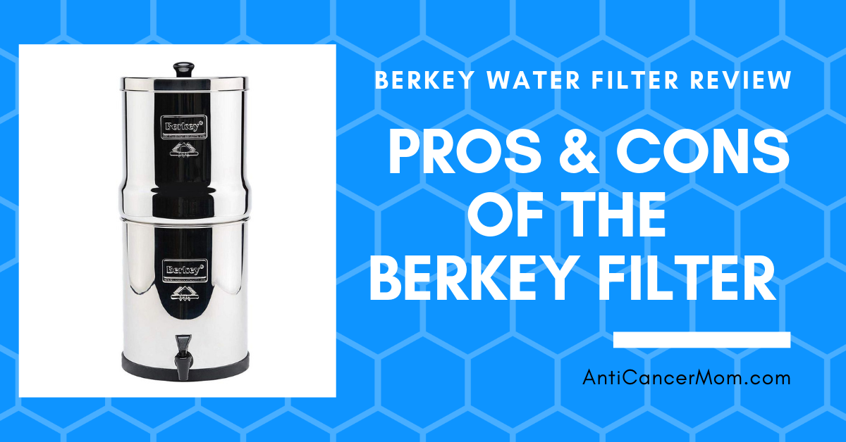 berkey water filter review